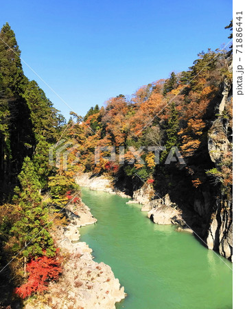 つつじ橋から眺める天竜峡つつじの峡谷 71886441