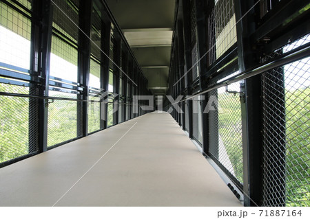 天竜峡大橋 そらさんぽ 天竜峡大橋 そらさんぽ 71887164