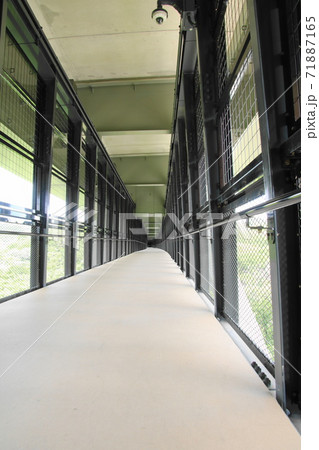 天竜峡大橋　そらさんぽ 71887165