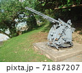 グアム　大砲 71887207