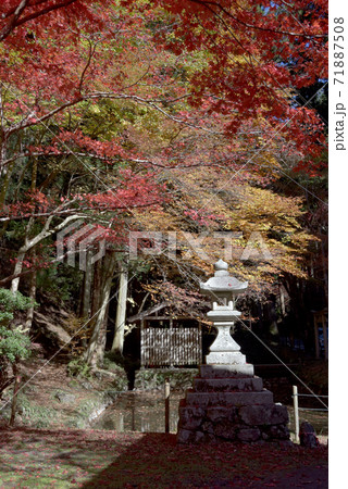 比叡山横川 紅葉と灯篭 滋賀県大津市 比叡山横川 紅葉と灯篭 滋賀県大津市 71887508