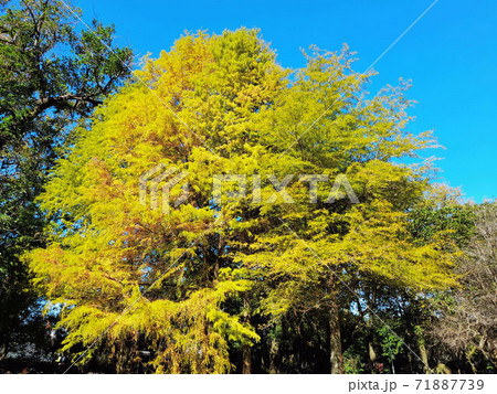 海 海事 海軍 71887739