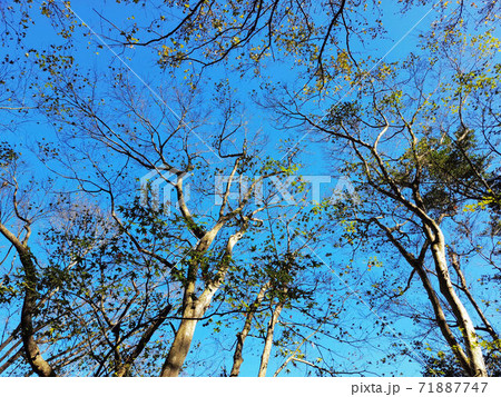 はしけ 艀 バージ船 71887747