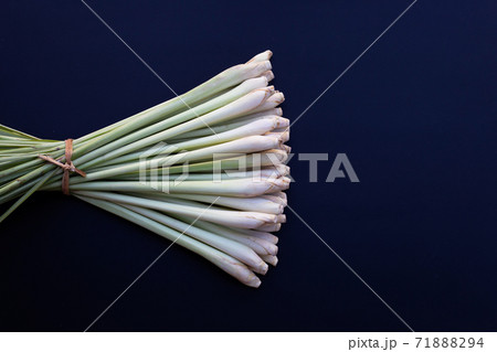 Fresh lemongrass on dark background. 71888294