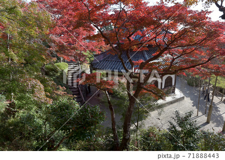 秋の善峯寺 紅葉と経堂 京都市 秋の善峯寺 紅葉と経堂 京都市 71888443