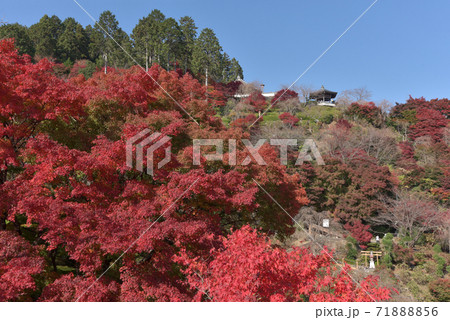 秋の善峯寺 境内の紅葉 京都市 秋の善峯寺 境内の紅葉 京都市 71888856