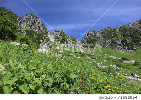 千畳敷カールの夏景色 千畳敷カールの夏景色 71888964