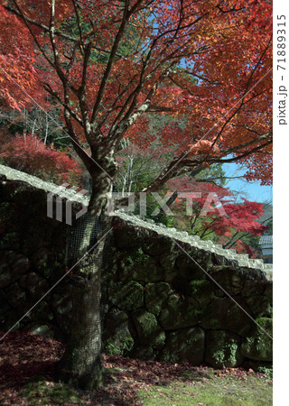 秋の神護寺 境内の紅葉 京都市 秋の神護寺 境内の紅葉 京都市 71889315