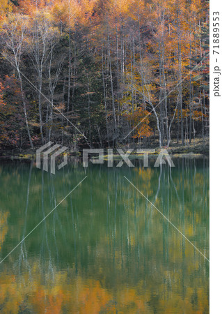 長野県茅野市 御射鹿池の紅葉 長野県茅野市 御射鹿池の紅葉 71889553