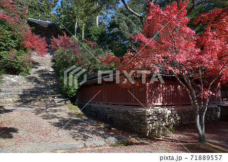 秋の神護寺 和気公霊廊と鐘楼 京都市 秋の神護寺 和気公霊廊と鐘楼 京都市 71889557