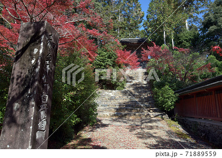 秋の神護寺 鐘楼 京都市 秋の神護寺 鐘楼 京都市 71889559