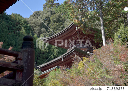 秋の神護寺 多宝塔 京都市 秋の神護寺 多宝塔 京都市 71889873