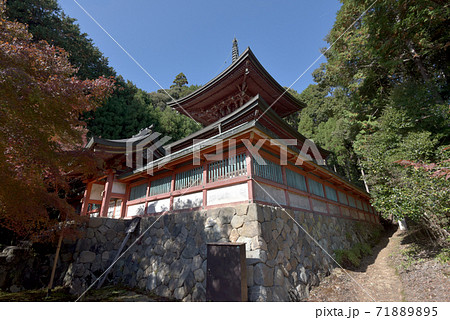秋の神護寺　多宝塔　京都市 71889895