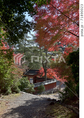 秋の神護寺 境内の紅葉 京都市 秋の神護寺 境内の紅葉 京都市 71890023