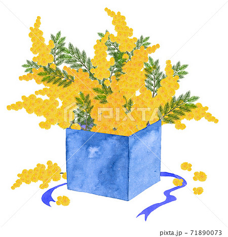 箱に入れたミモザの花のイラスト素材