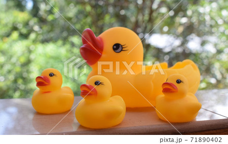 Rubber ducky with her ducklings Rubber ducky with her ducklings 71890402