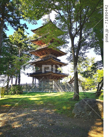 佐渡島 妙宣寺 五重の塔 佐渡島 妙宣寺 五重の塔 71890442