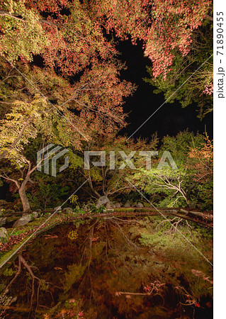 紅葉の庭園　夜の三十路苑長崎県雲仙市 71890455