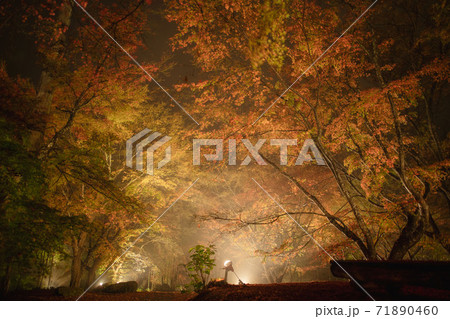 紅葉の庭園 夜の三十路苑長崎県雲仙市 紅葉の庭園 夜の三十路苑長崎県雲仙市 71890460