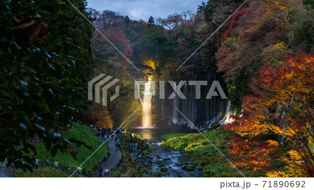 神秘景観、白糸の滝ライトアップ 71890692