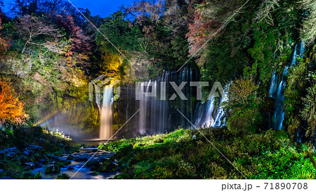 神秘景観、白糸の滝ライトアップ 神秘景観、白糸の滝ライトアップ 71890708