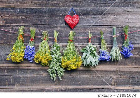 various medical herbs on old wooden farm wall 71891074