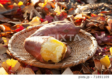 やきいも 71891109