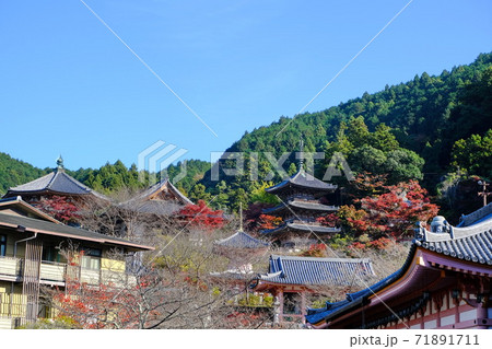 西国三十三所の第6番札所  壷阪寺 71891711