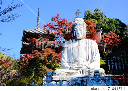 西国三十三所の第6番札所  壷阪寺 71891714