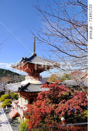 西国三十三所の第6番札所  壷阪寺 71891720