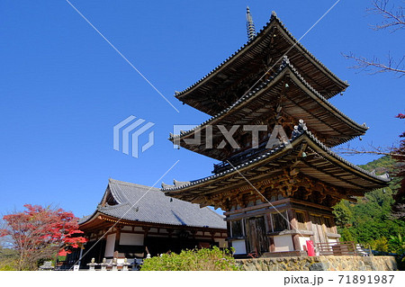 西国三十三所の第6番札所  壷阪寺 71891987