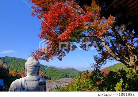 西国三十三所の第6番札所  壷阪寺 71891988