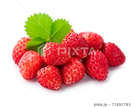 Wild strawberry with leaves on white backgrounds. Wild strawberry with leaves on white backgrounds. 71892783