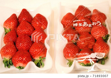 いちごは子供から大人まで愛される果物 いちごは子供から大人まで愛される果物 71893007