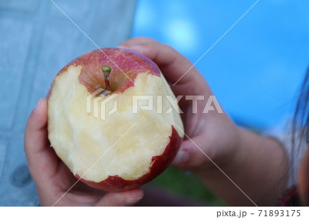 リンゴ丸かじりの写真素材