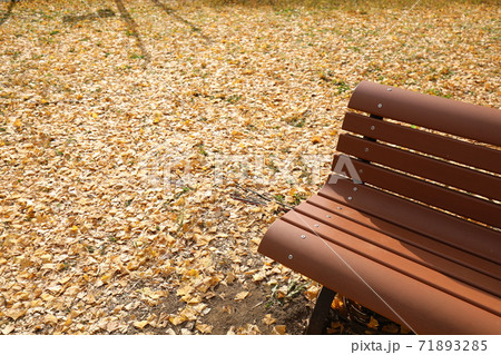 銀杏と椅子 71893285