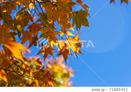 カジュアル 無造作 無頓着 71895452