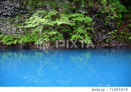 四万湖の湖面 四万湖の湖面 71895979