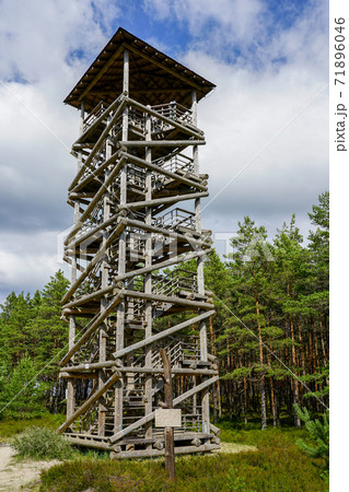 high observation tower of wooden beams construction 71896046