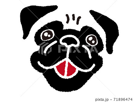 ペット 犬 小型犬 パグの顔 年賀状のイラスト素材