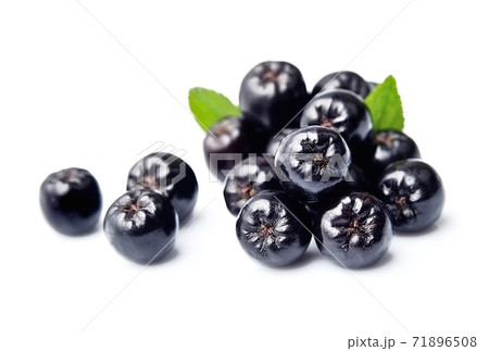 Aronia fruits 71896508