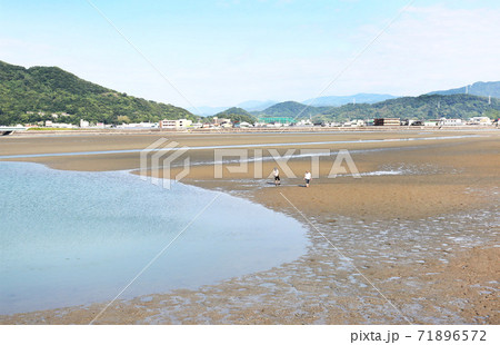 干潟で遊ぶ 和歌の浦 和歌山市の写真素材