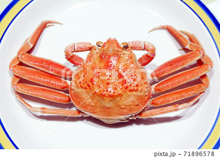 Seiko crab Echizen crab Sea of Japan Winter taste Stock Photo