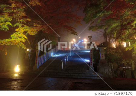 神奈川県 大山阿夫利神社のライトアップ 紅葉の写真素材