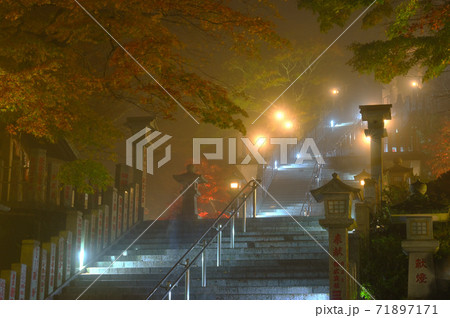 神奈川県_大山阿夫利神社のライトアップ_紅葉 71897171