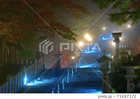 神奈川県_大山阿夫利神社のライトアップ_紅葉 71897172