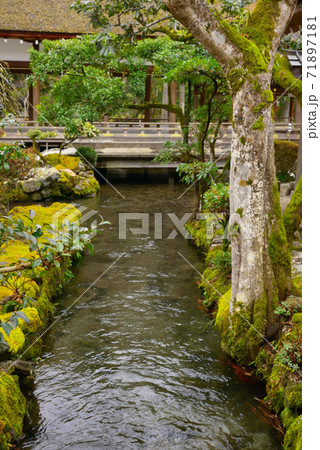 上賀茂神社 賀茂別雷神社 上賀茂神社 賀茂別雷神社 71897181