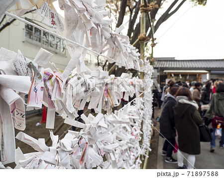おみくじ結び所・稲荷神社・浦安市当代島 おみくじ結び所・稲荷神社・浦安市当代島 71897588