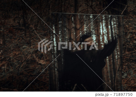 blurry mystical reflection of a black terrible witch in a mirror blurry mystical reflection of a black terrible witch in a mirror 71897750