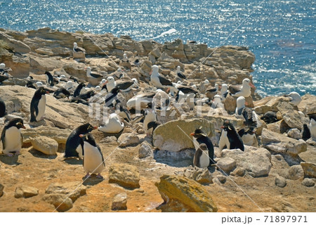 海 海事 海軍 71897971